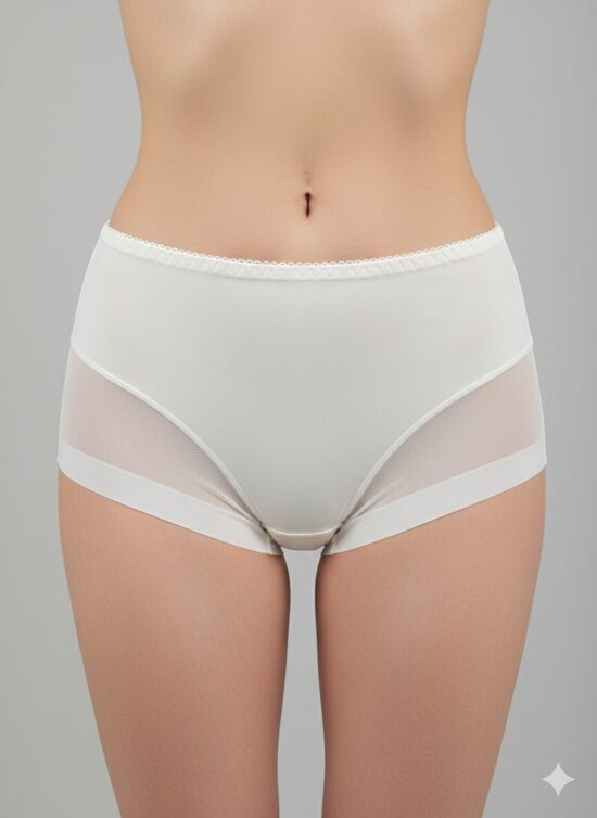 Aluspüksid 3048 Piim