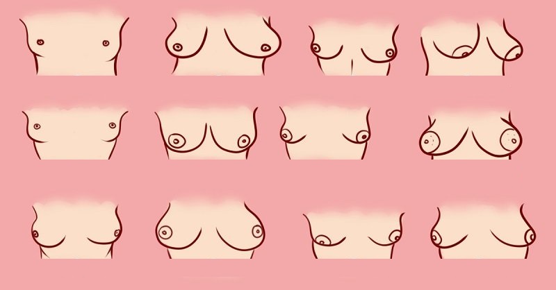 krūšu formas. Sieviešu krūtis. Padomi par sieviešu krūšturiem